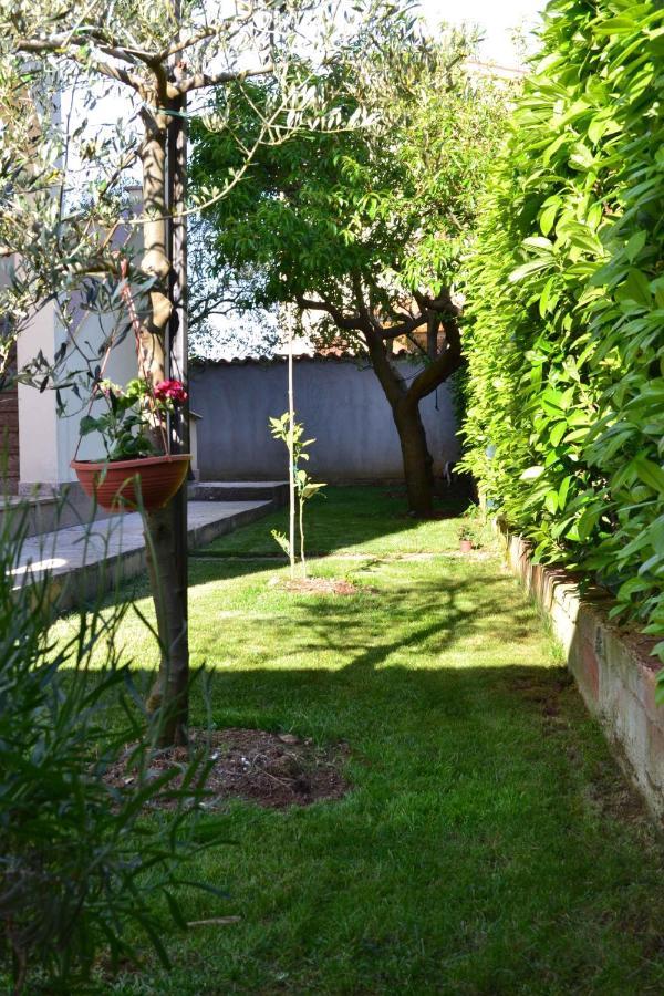 Apartment Valbandon 3 Štinjan Dış mekan fotoğraf